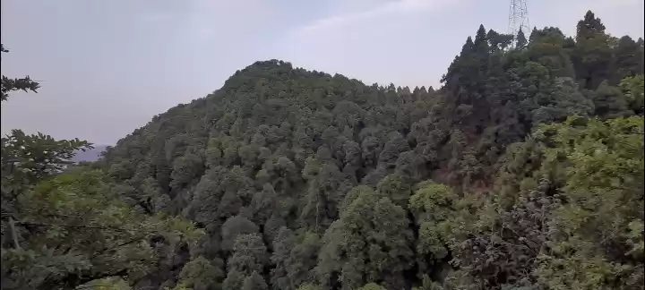 Photo of Comfortable Stay in 