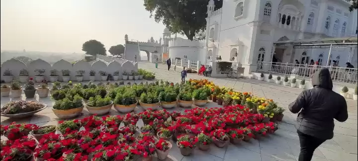 Photo of Flowers Blooming in 