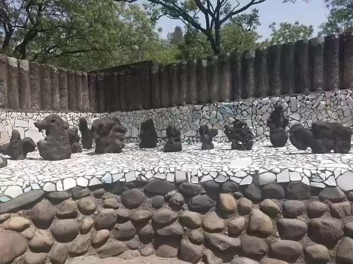 Photo of Glimpse of Rock Gard