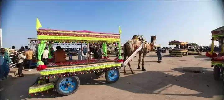 Photo of Camel Cart of Dhordo