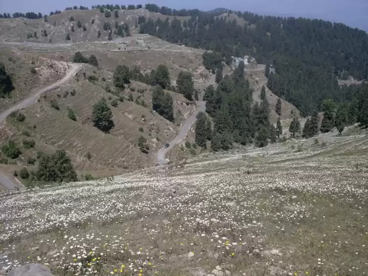 Photo of Beauty of Dainkund P