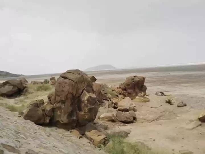 Photo of Wood Fossil Park Dho