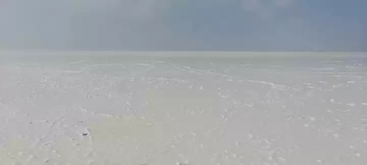 Photo of A Visit to White Des