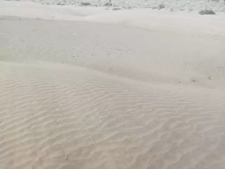 Photo of Sand Dunes of Thar 