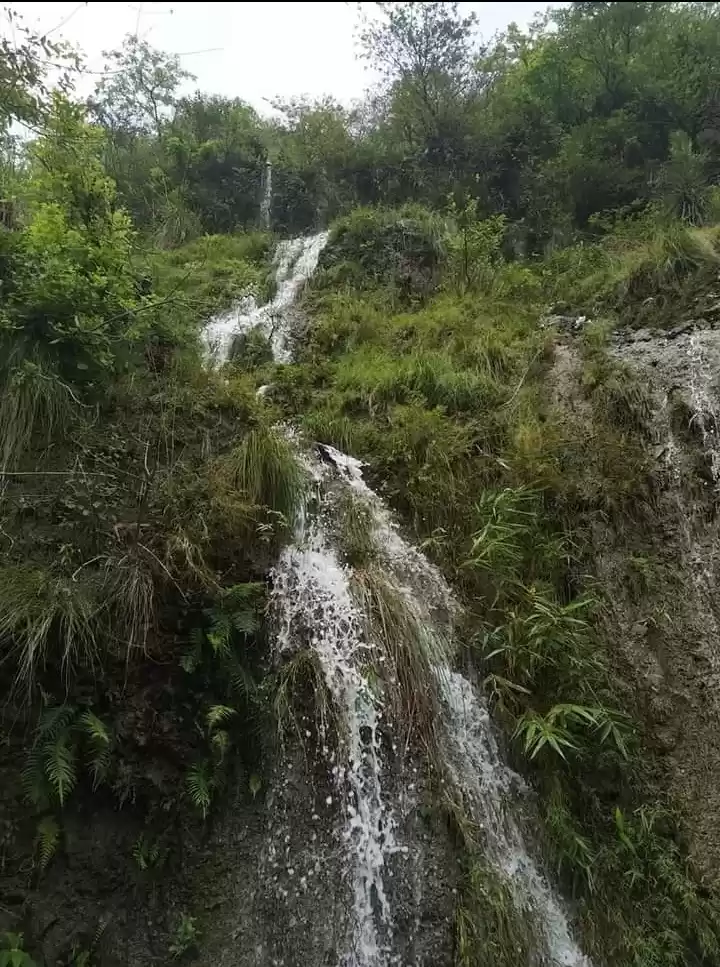 Photo of Beautiful Water Stre