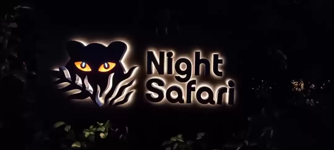 Photo of Night Safari..Must V