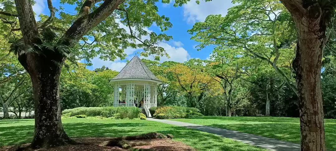 Photo of सिंगापुर में कुदरत क