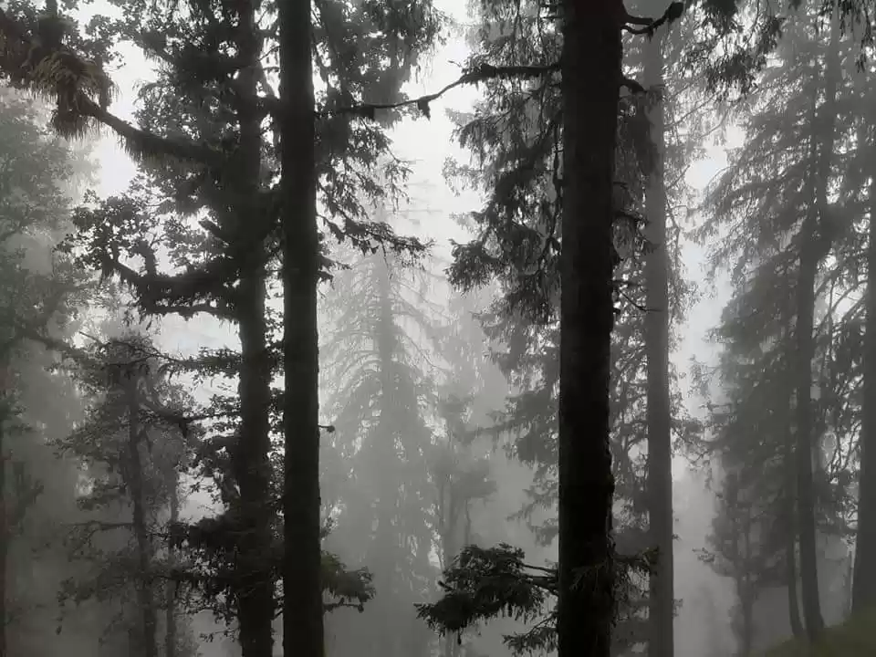 Photo of शिमला मनाली की भीड़