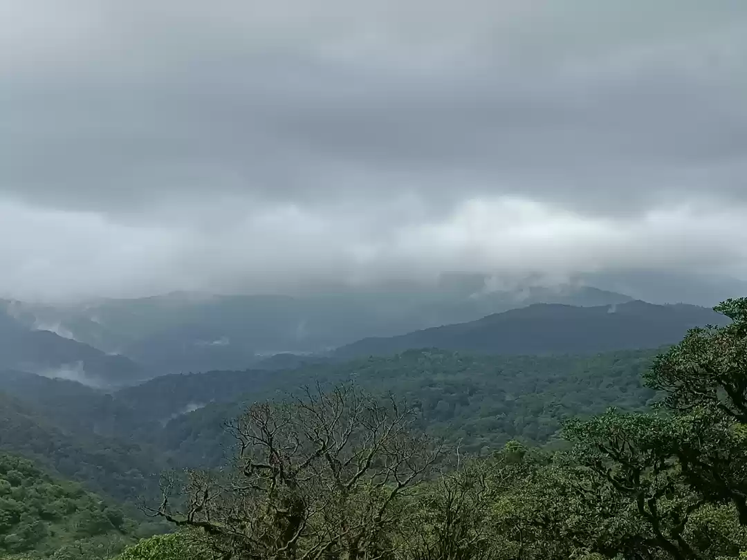 Photo of कर्नाटक में पश्चिम घ