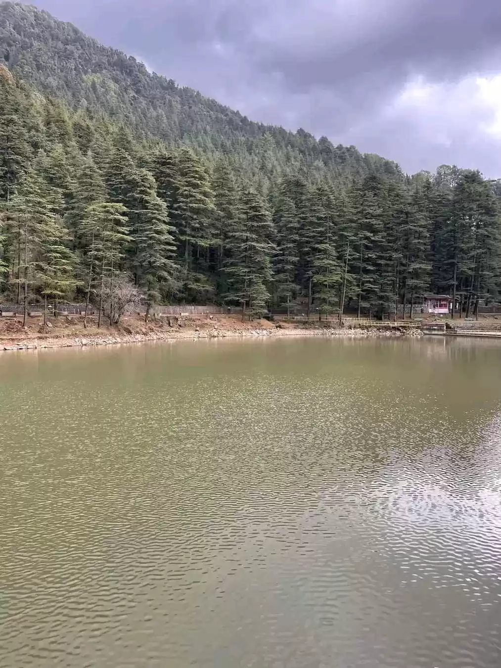 Photo of हिमाचल प्रदेश के खूब