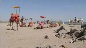 Photo of गुजरात