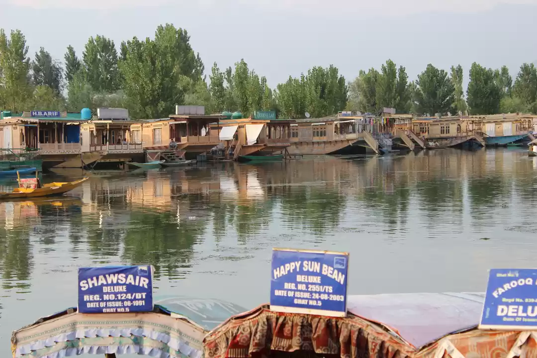 Photo of Dal Lake: Captivatin