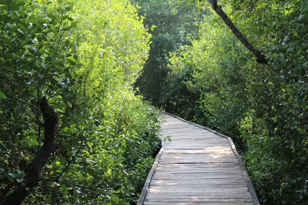 Photo of Road trip to yanam, 