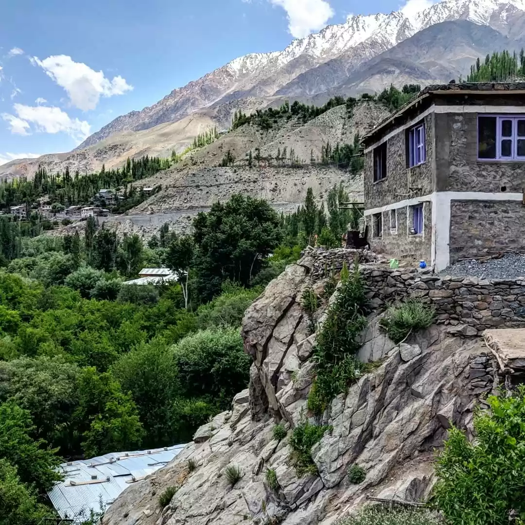 Photo of Into the Wonderland