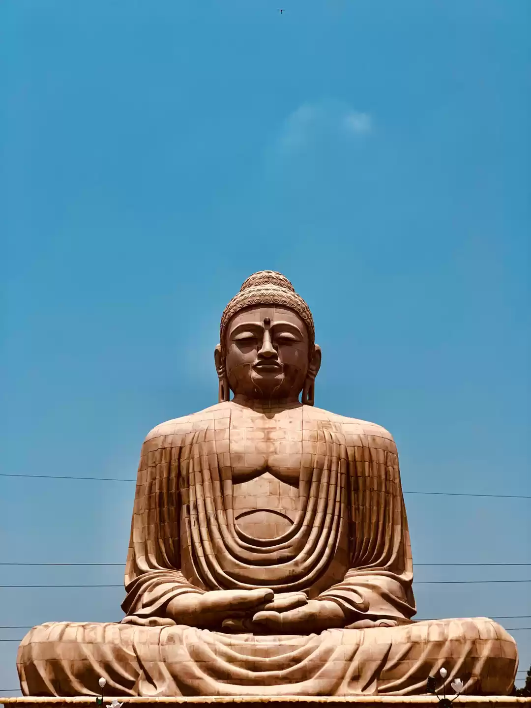 Photo of Giant Buddha