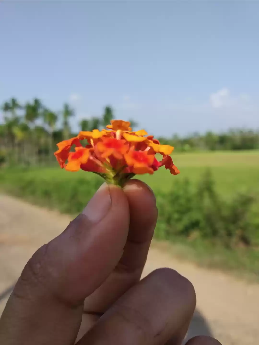 Photo of Food walk in God's o