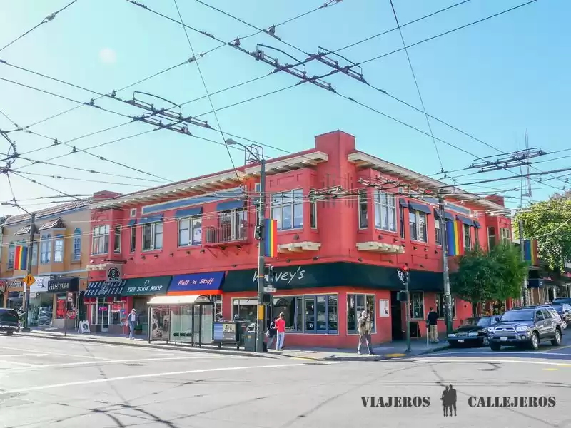 Photo of 7 things to see and 