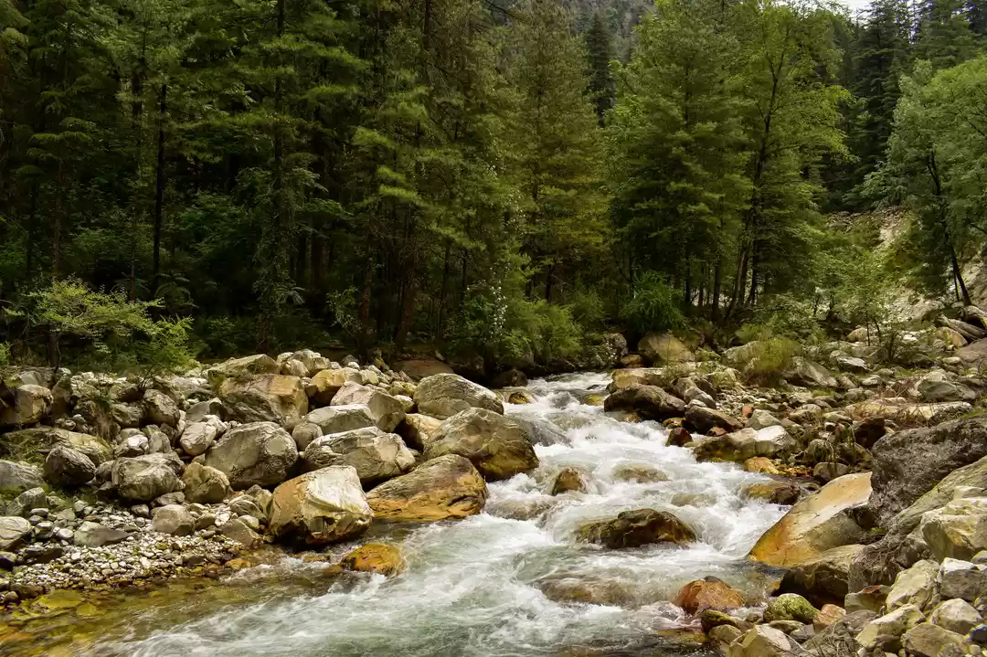 Photo of A magical spell of G