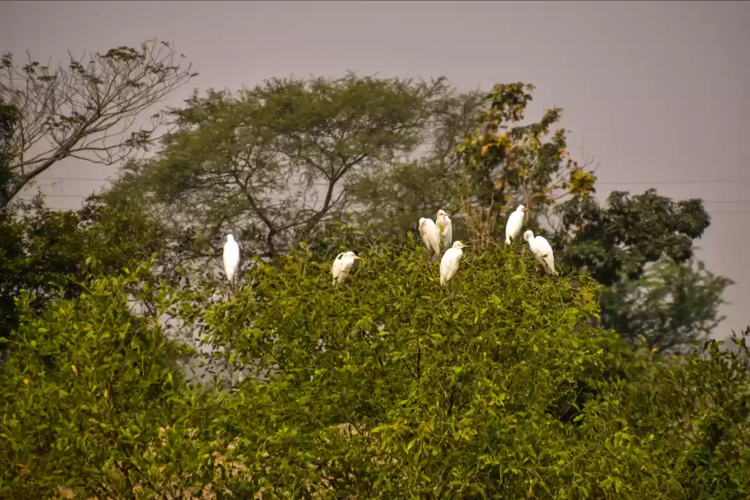 Photo of A trip to Amazon of 