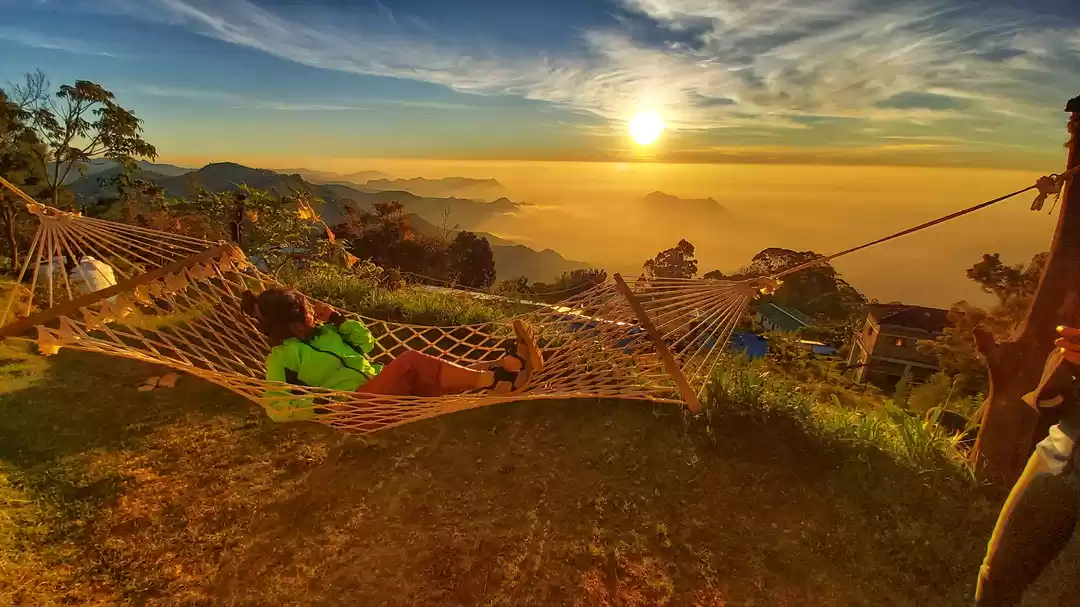 Photo of Fomo Doesn't Help 