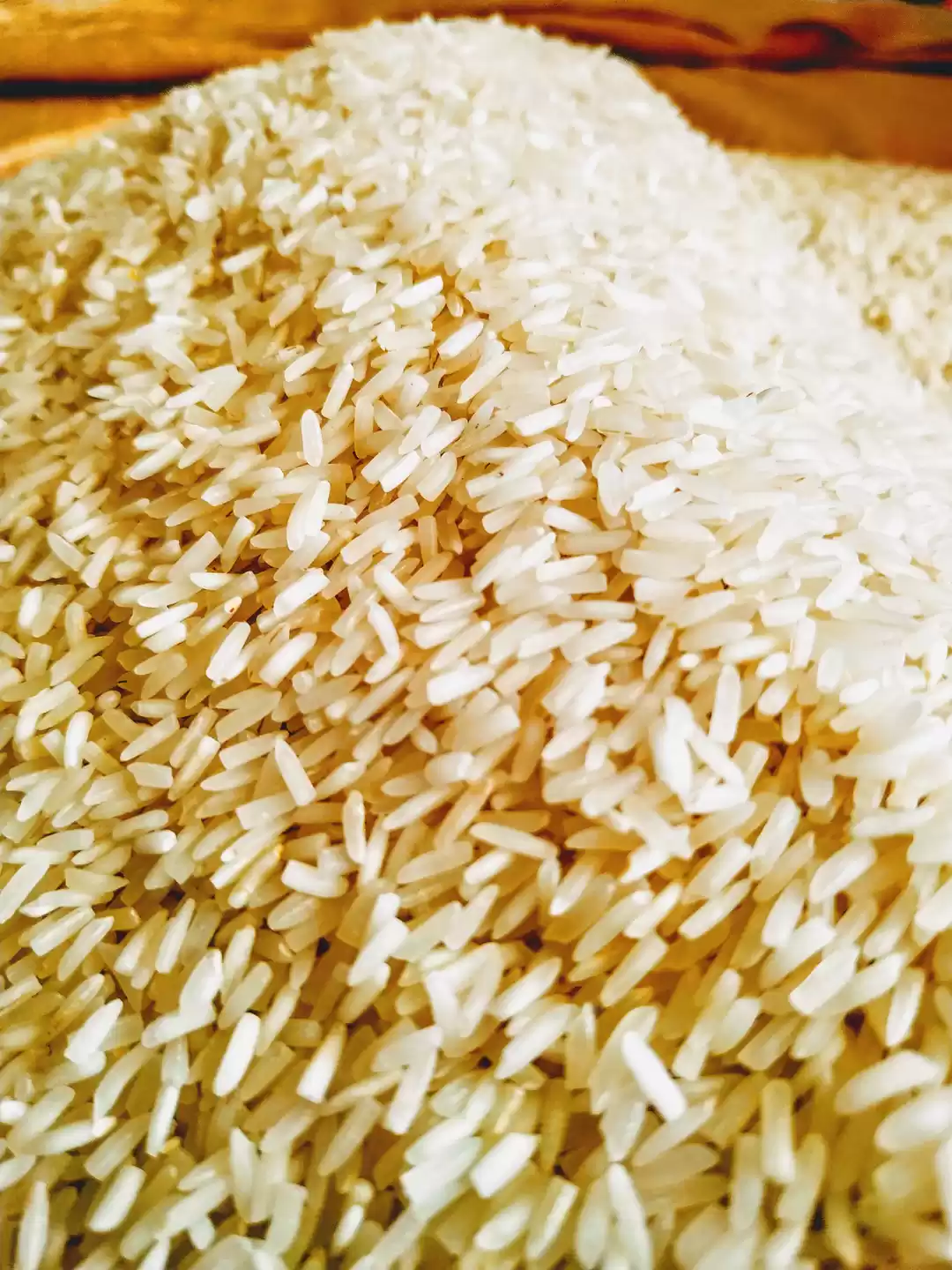 Photo of Creative Jaipur