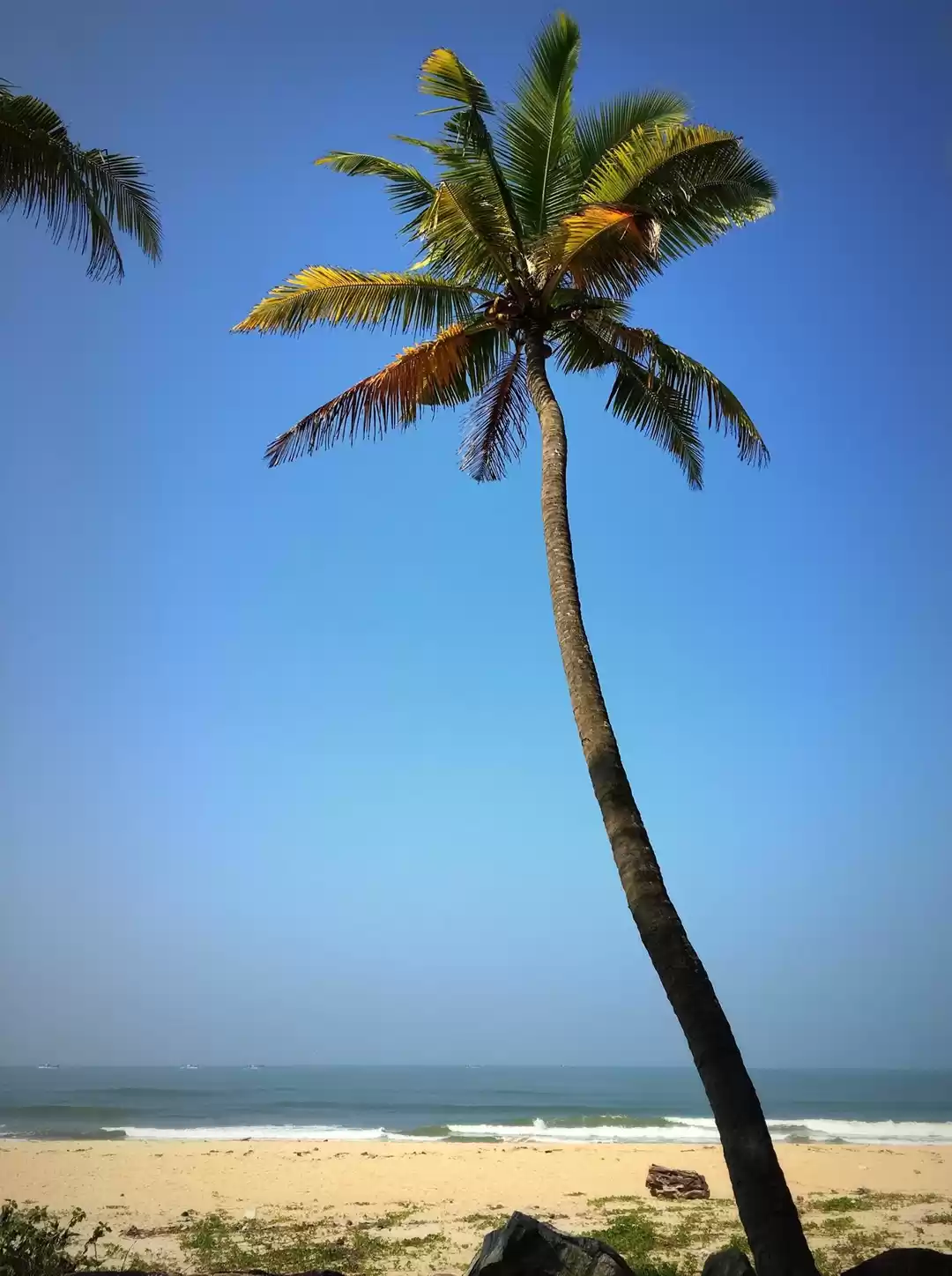 Photo of Idyllic Coastal Udup