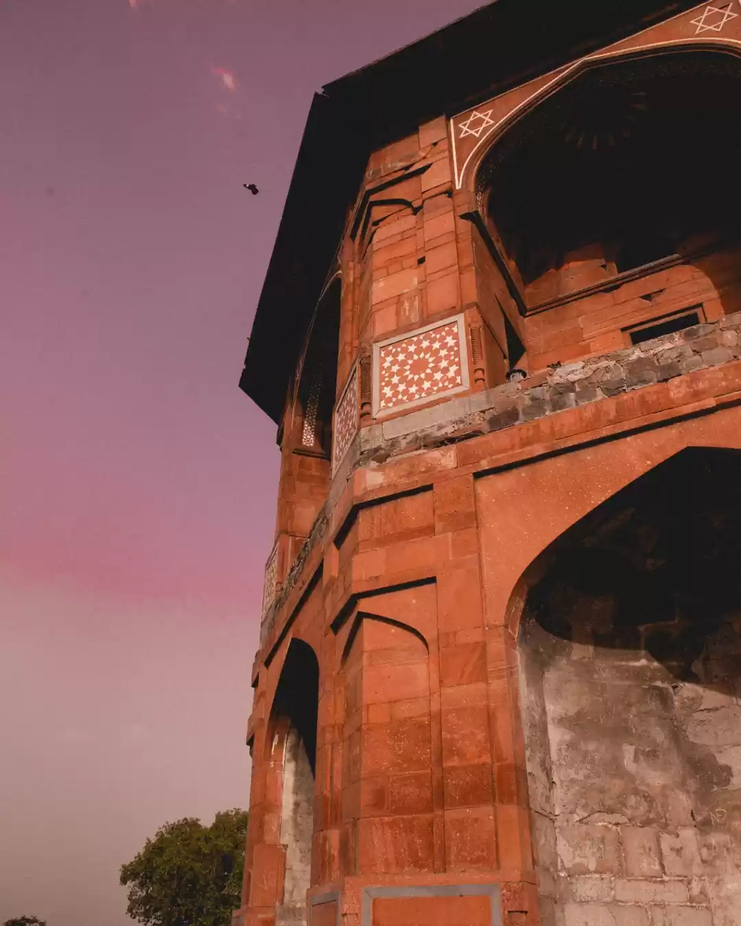 Photo of Purana Qila 