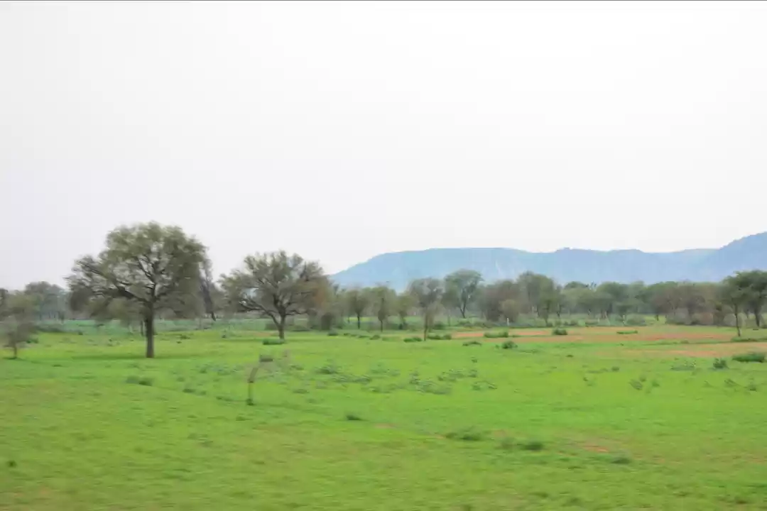 Photo of Trip to Jaipur, Raja