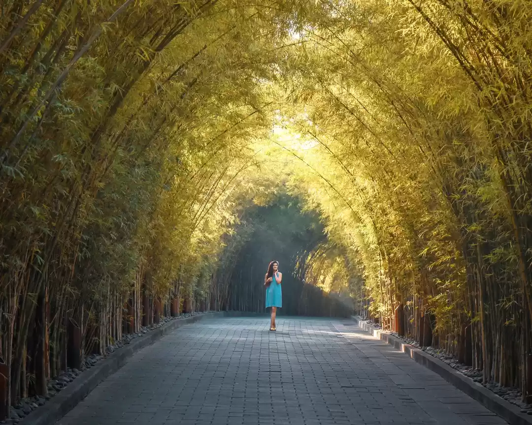 Photo of Blissful Bali - Our 