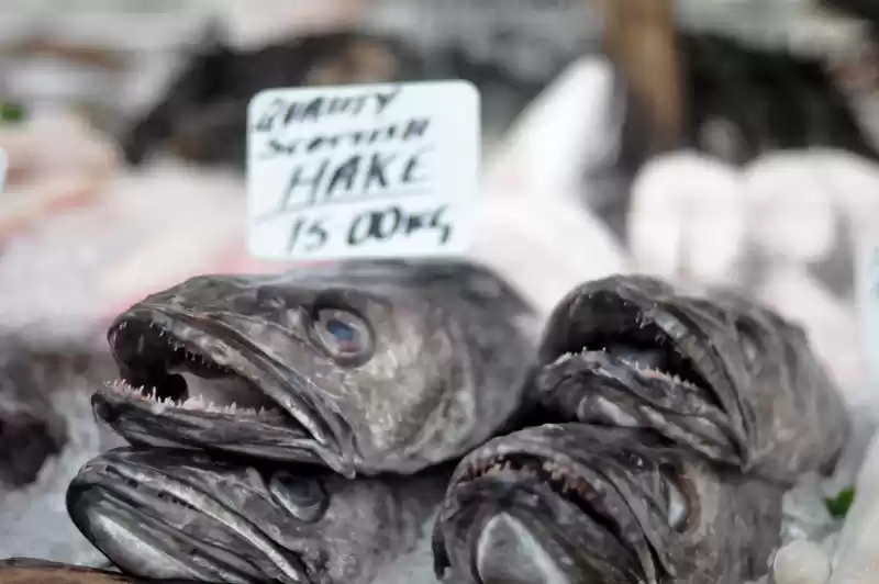 Photo of Trip to London: Do’s