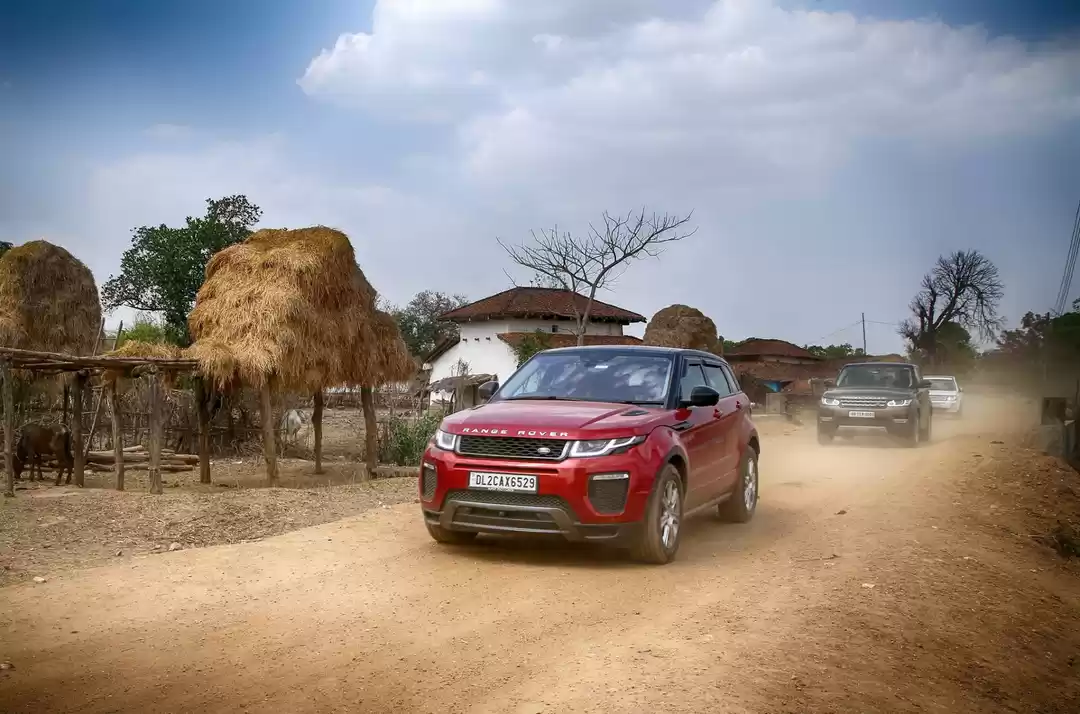 Photo of Discovery With A Pur