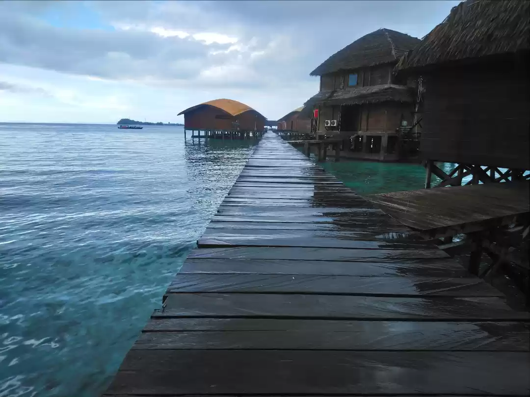 Photo of The Unlimited Beauty