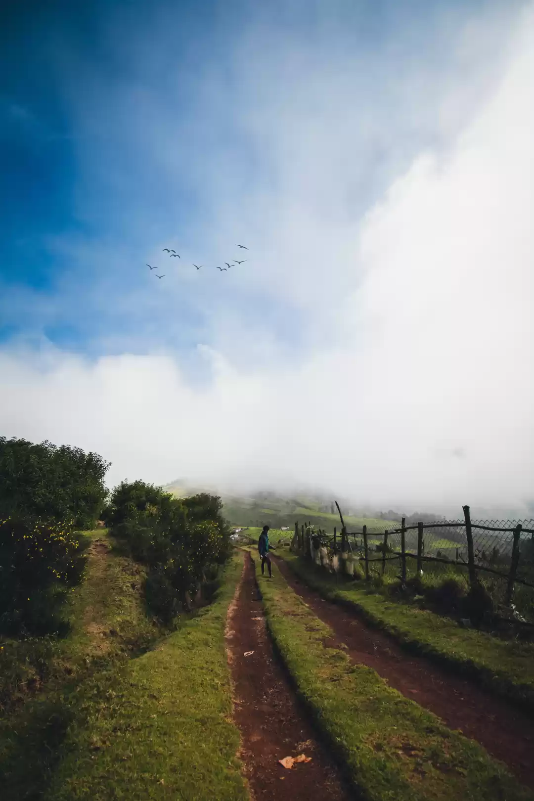 Photo of Travelling – It leav