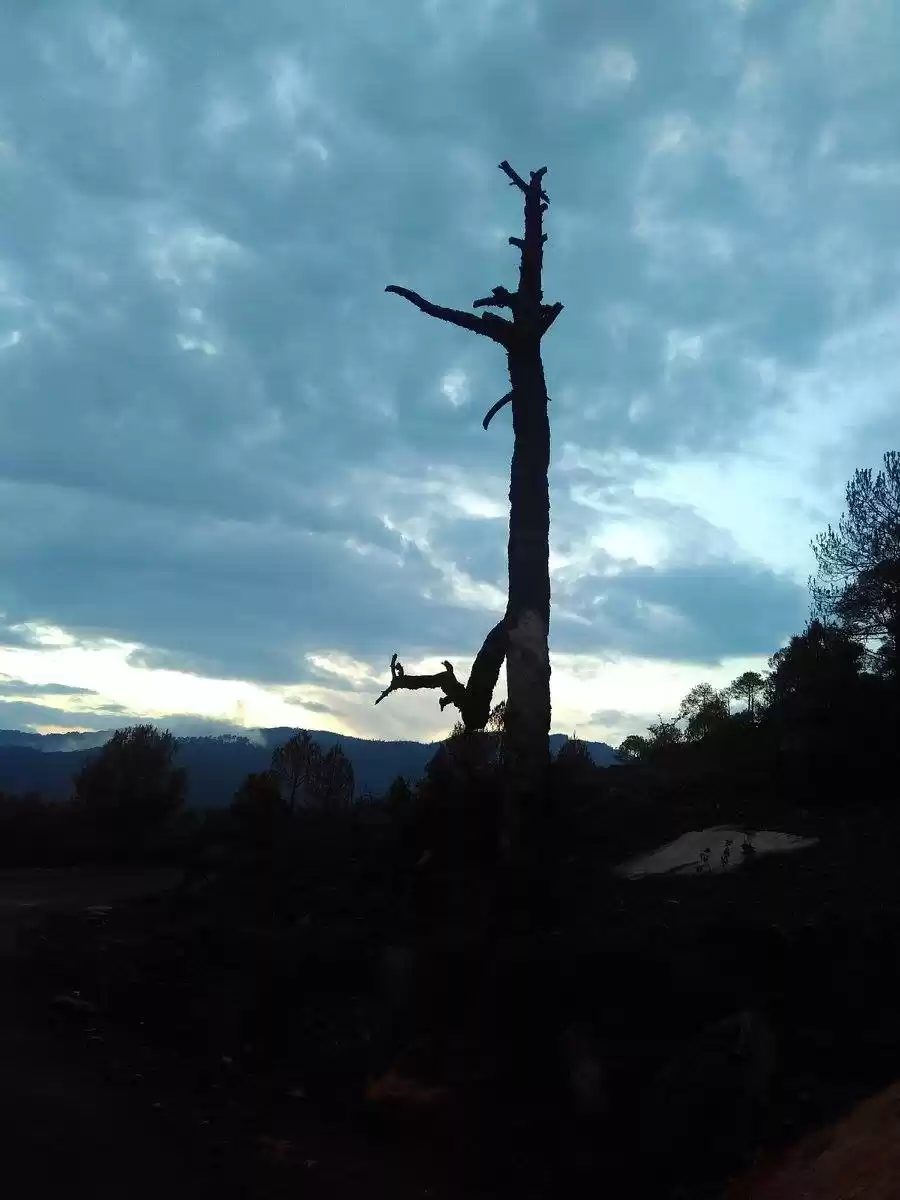 Photo of Travel trail from K