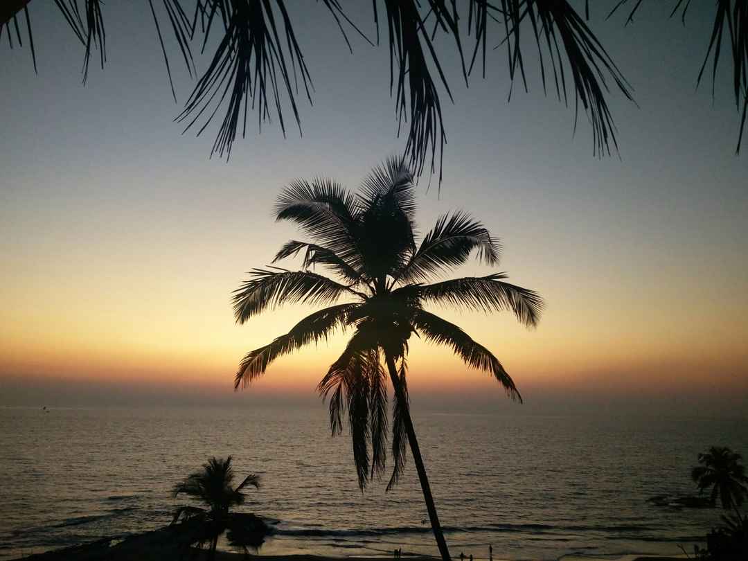 Photo of The story of Sun, Sand, Shorts and of course Beaches...Goa Travelogue 2018 (North Goa)