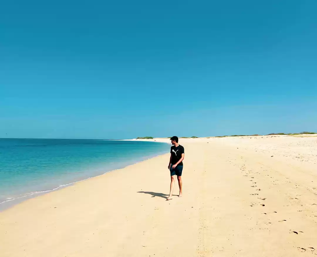 Photo of Yellow-sand beach 