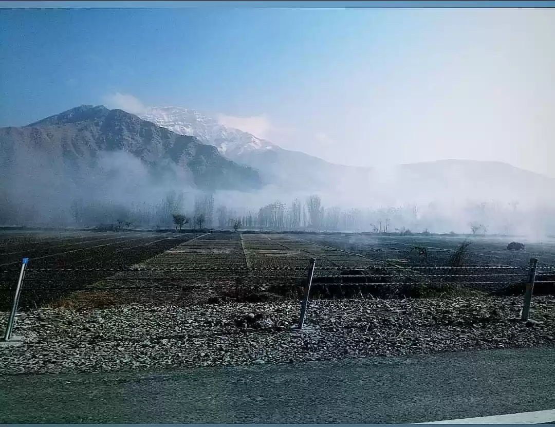 Photo of Foggy Fog