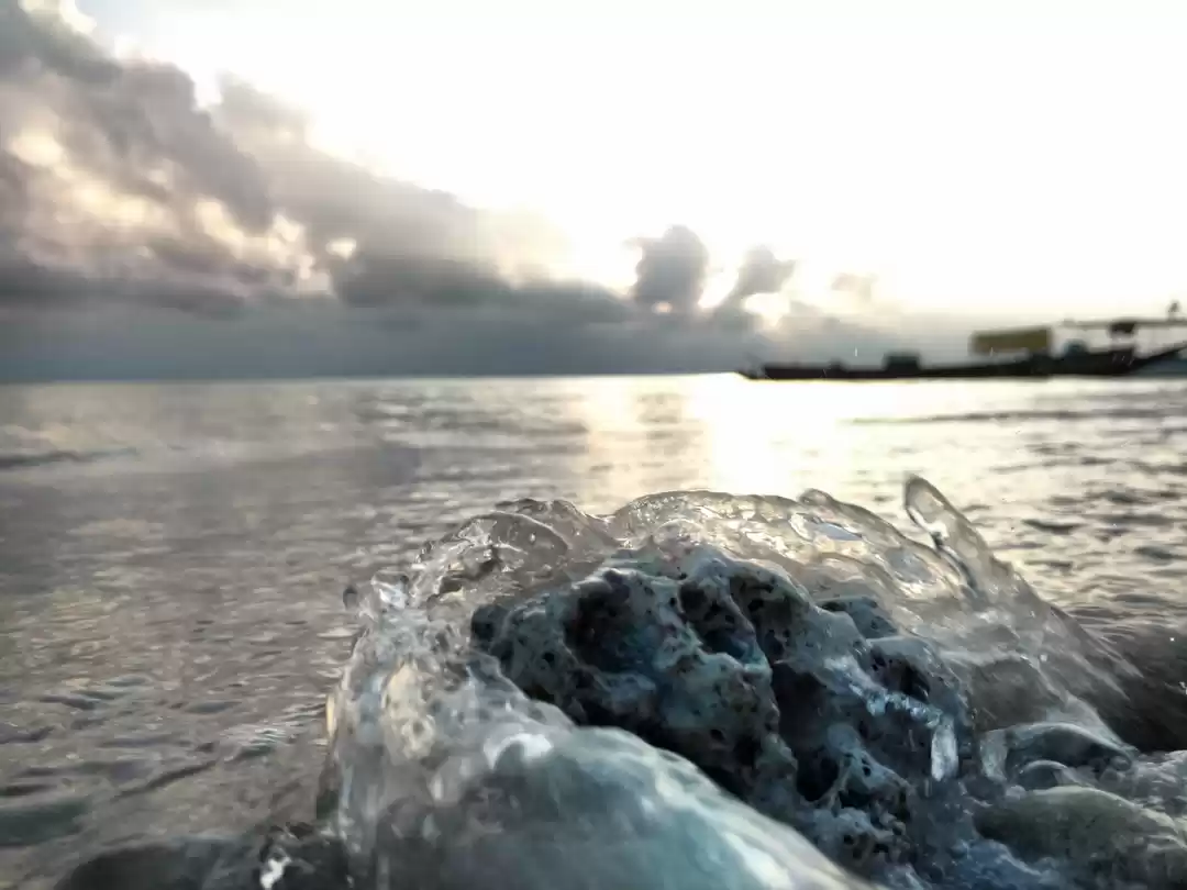 Photo of Why to litter the pl