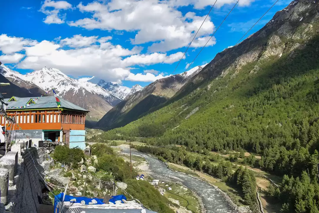 Photo of How did I end up her