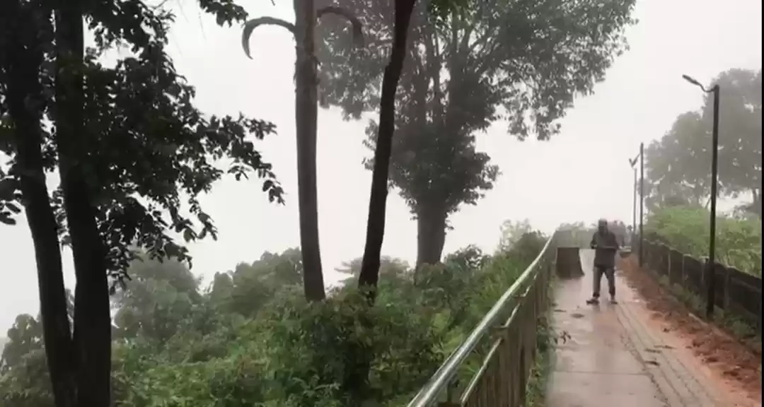 Photo of A sight to behold - 