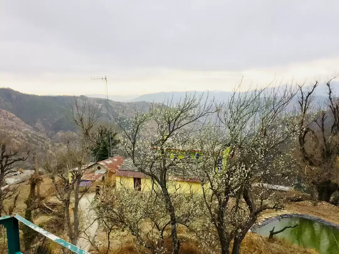 Photo of Au naturel #greencol