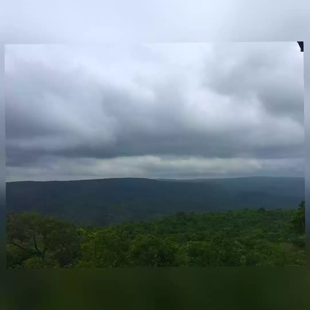 Photo of Nallamala forest mon