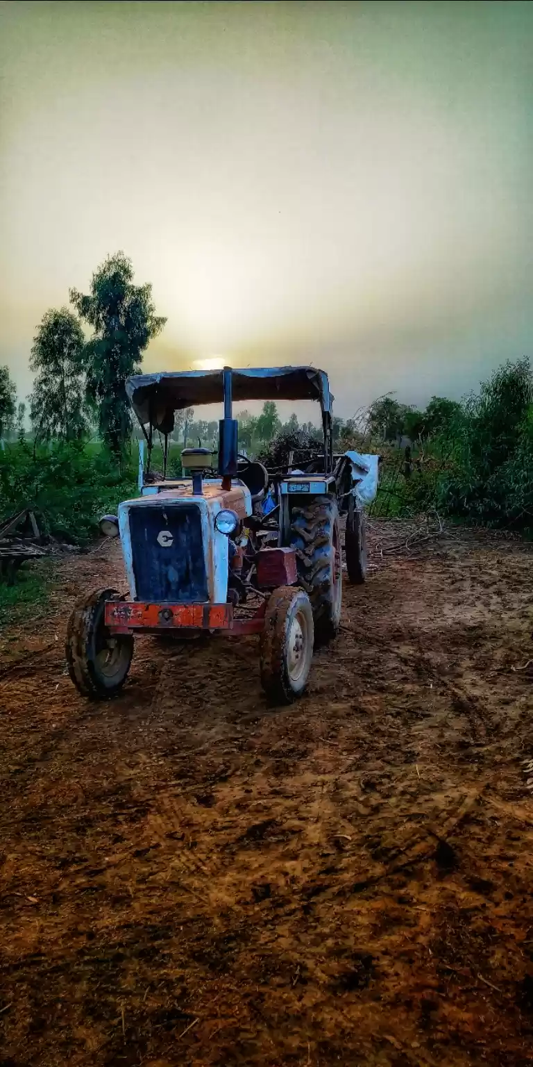 Photo of Escort tractor