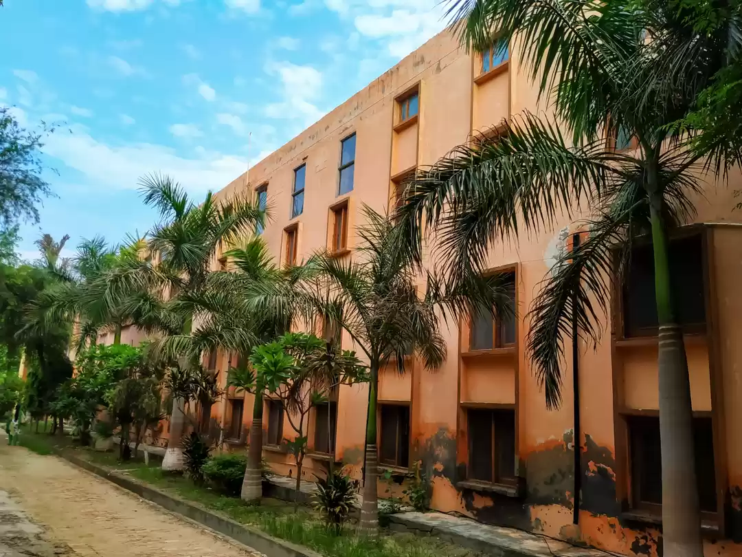 Photo of Backside of DAV Camp