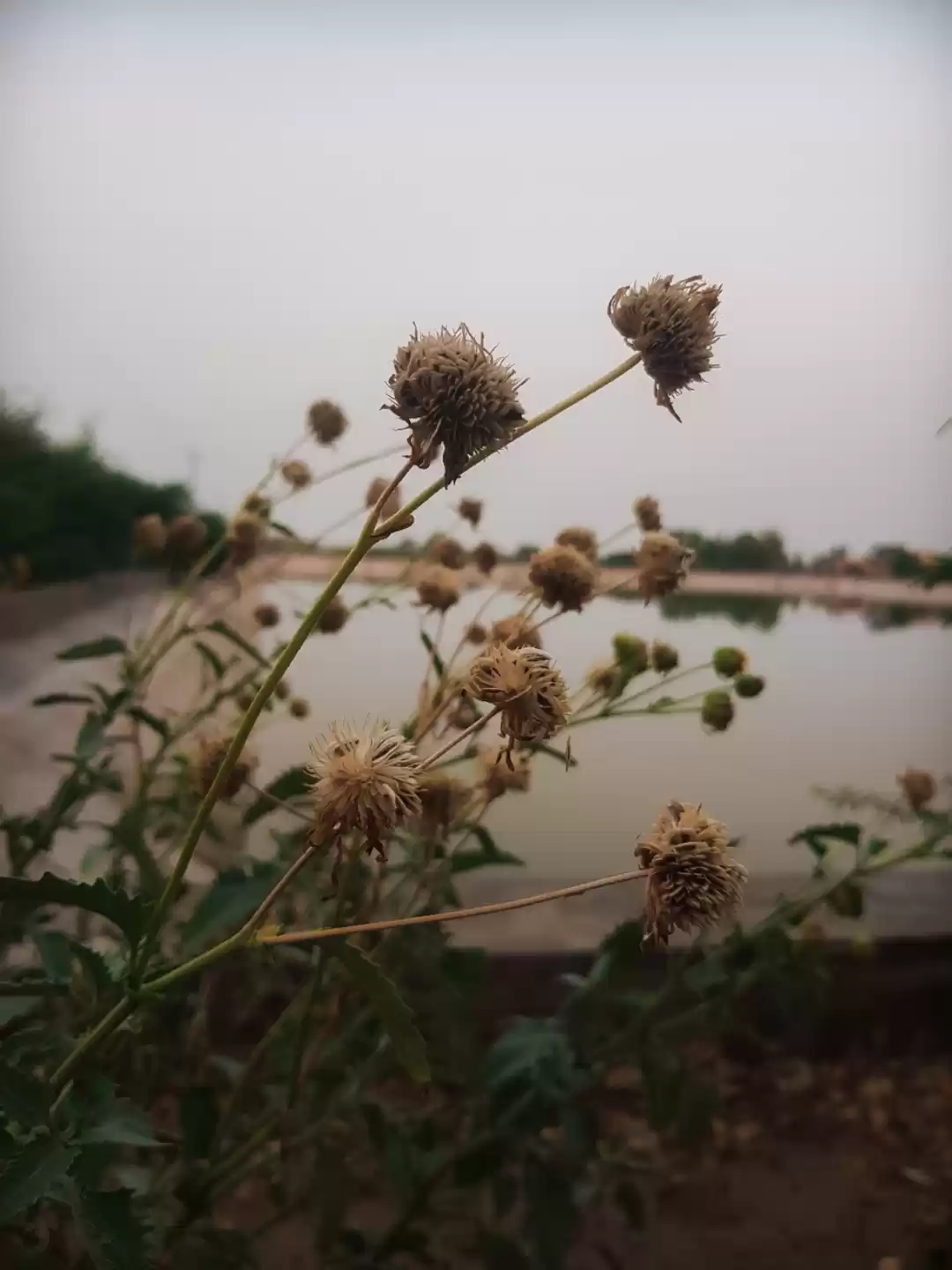Photo of Beautiful scenery an