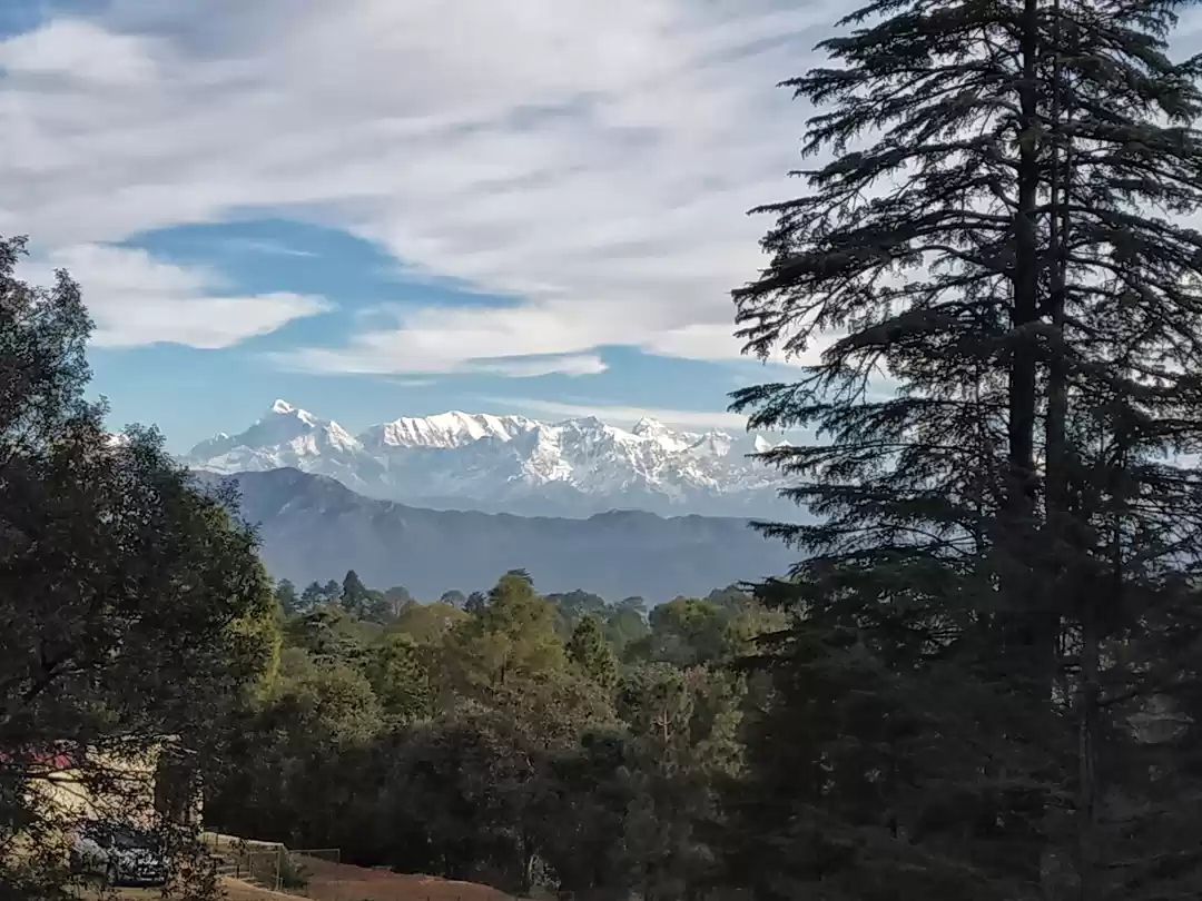 Photo of Ranikhet - Cold bree