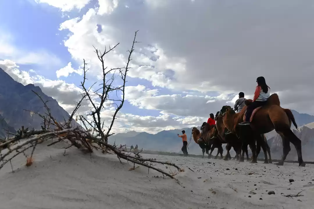 Photo of Hunder, Nubra Valley
