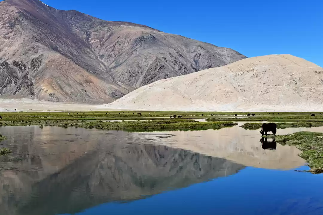 Photo of Landscape in between