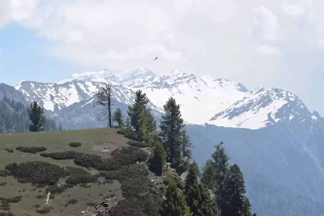 Photo of Mohandmarg Meadow,. 