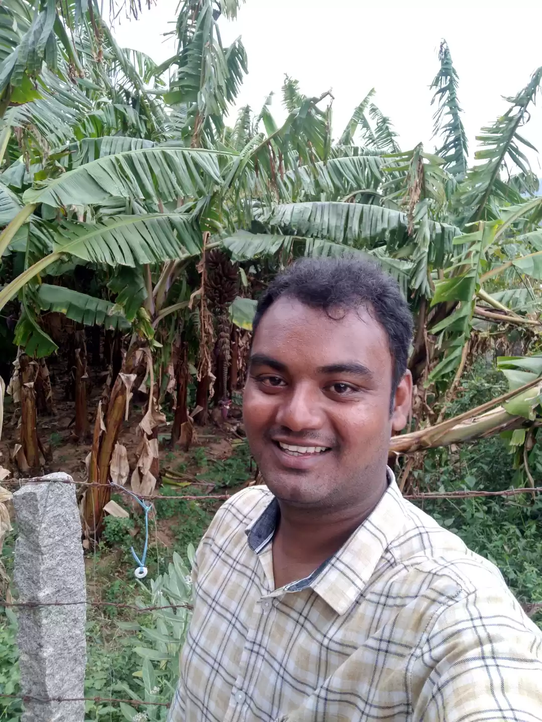 Photo of Nature view of cumbu